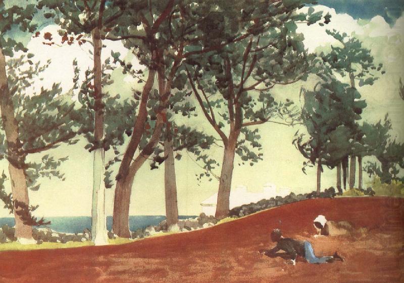 Winslow Homer Houses and trees china oil painting image